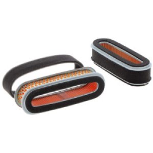 Воздушный фильтр 4100255